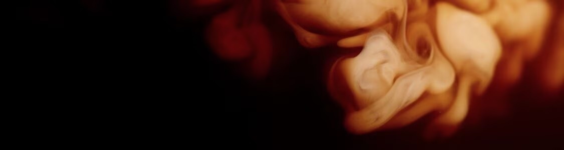 PROMOVERPAKKINGEN banner