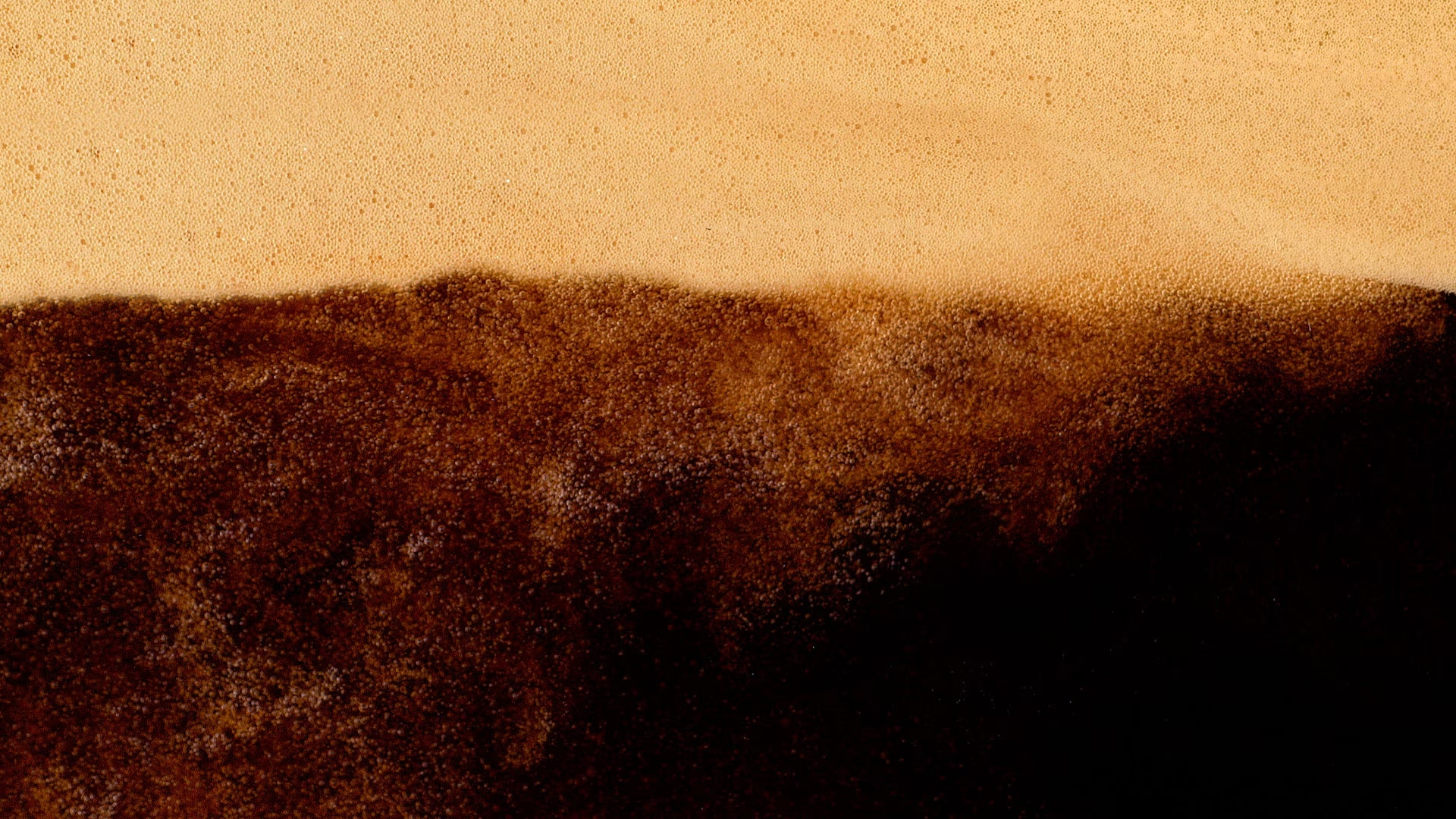EKIVITA banner