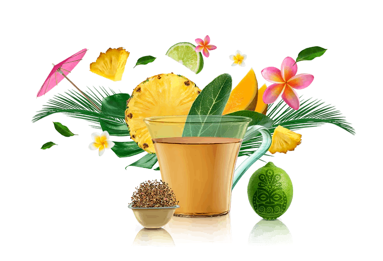 kop, capsules en ingrediënten