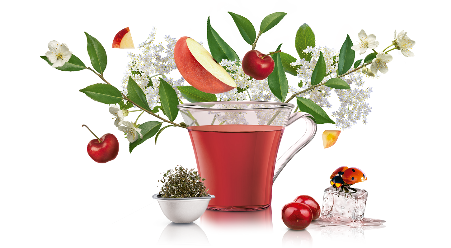  cup, capsule and ingredients