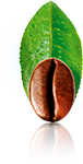 bio