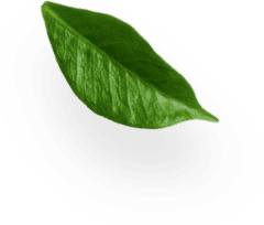 block three image 5