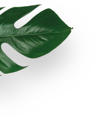 deco1