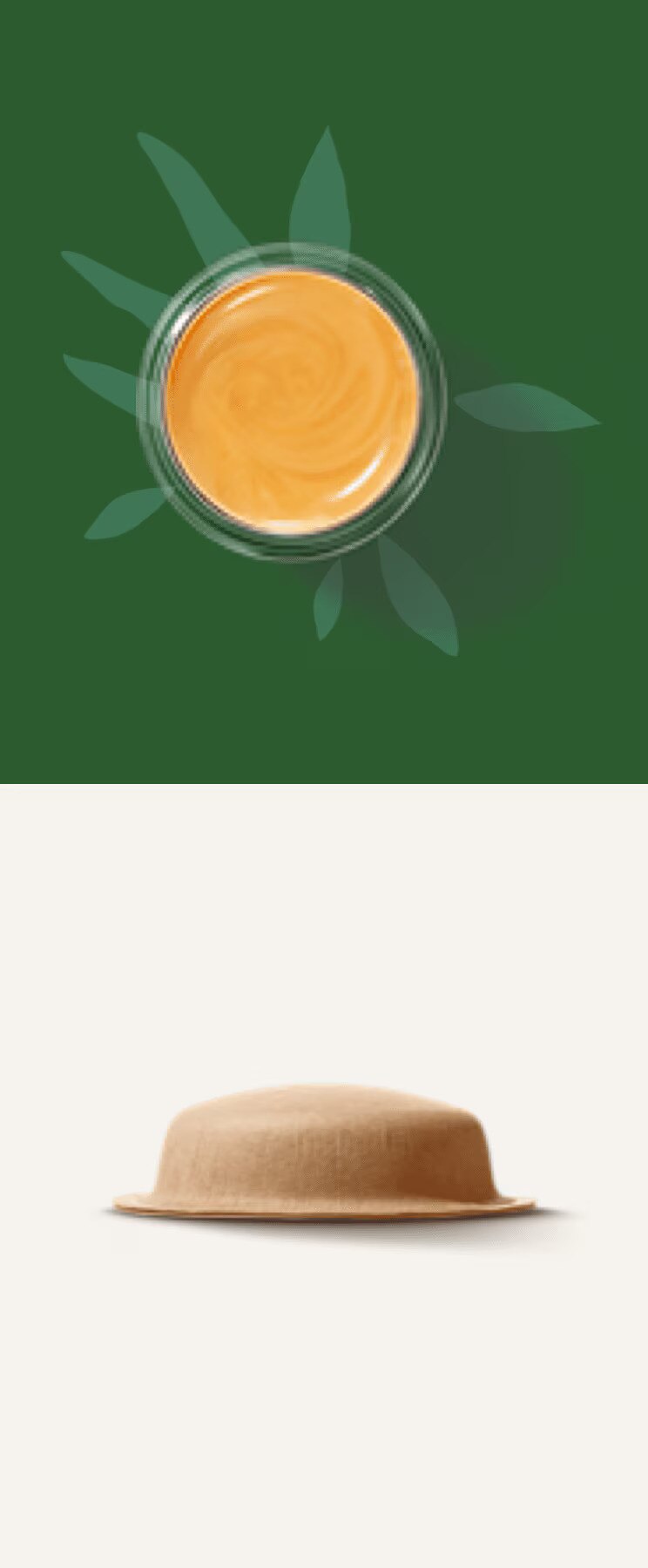 branche avec des feuilles à côté d'une tasse, d'une capsule et d'un sachet