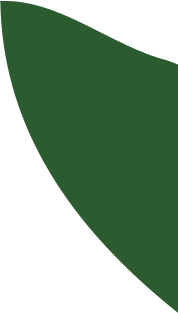 Leaf image