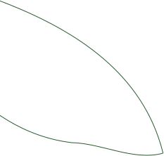 Leaf image