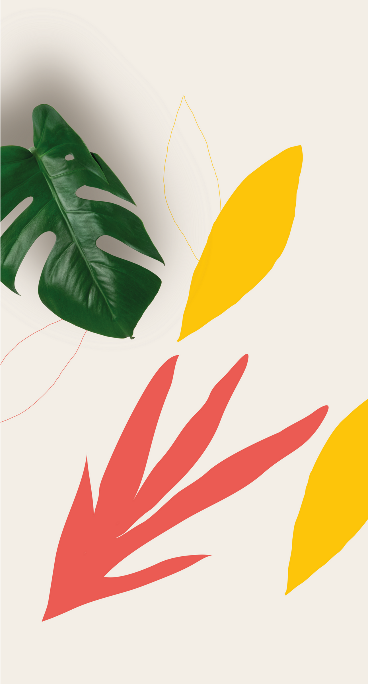 Leaf image 5