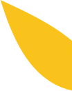 Leaf image