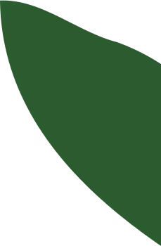 Leaf image