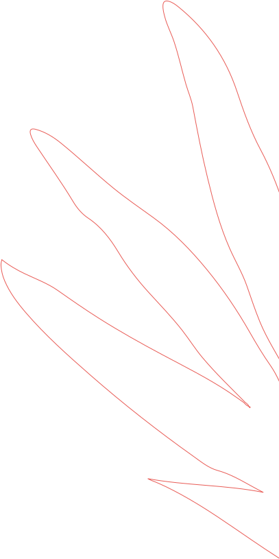 Leaf image