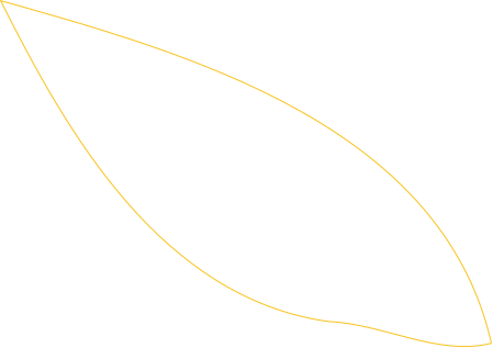 Leaf image