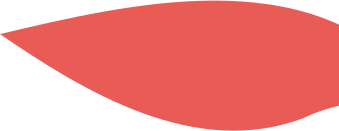 Leaf image