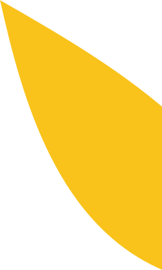 Leaf image