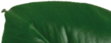 koffiebonen