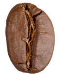 NDG Icon