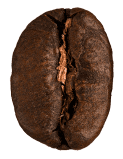 NDG Icon