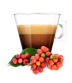 DUURZAAMHEID