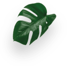 Grande 16 Capsules decoration Image